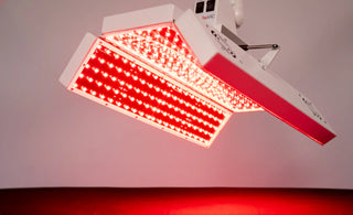 The Ultimate Luxury Wellness Experience: Rejuvenate with Red Light Therapy