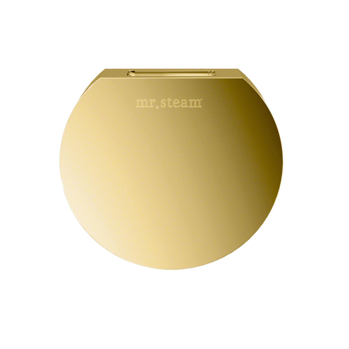 Butler Max Steam Shower Control Package with iTempoPlus Control and Aroma Designer SteamHead in Round