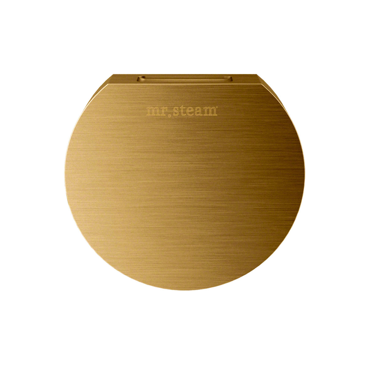 Basic Butler Steam Shower Control Package with iTempo Control and Aroma Designer SteamHead in Round