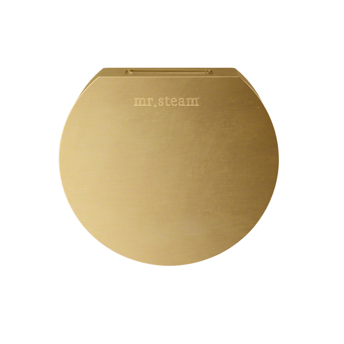 Butler Max Steam Shower Control Package with iTempoPlus Control and Aroma Designer SteamHead in Round