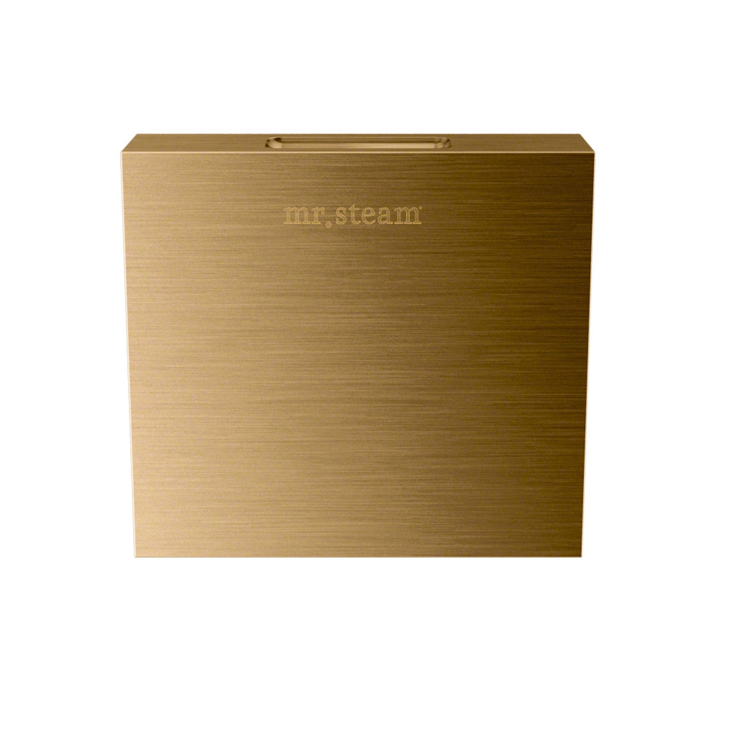 Aroma Designer 3 in. W. Steamhead with AromaTherapy Reservoir in Square