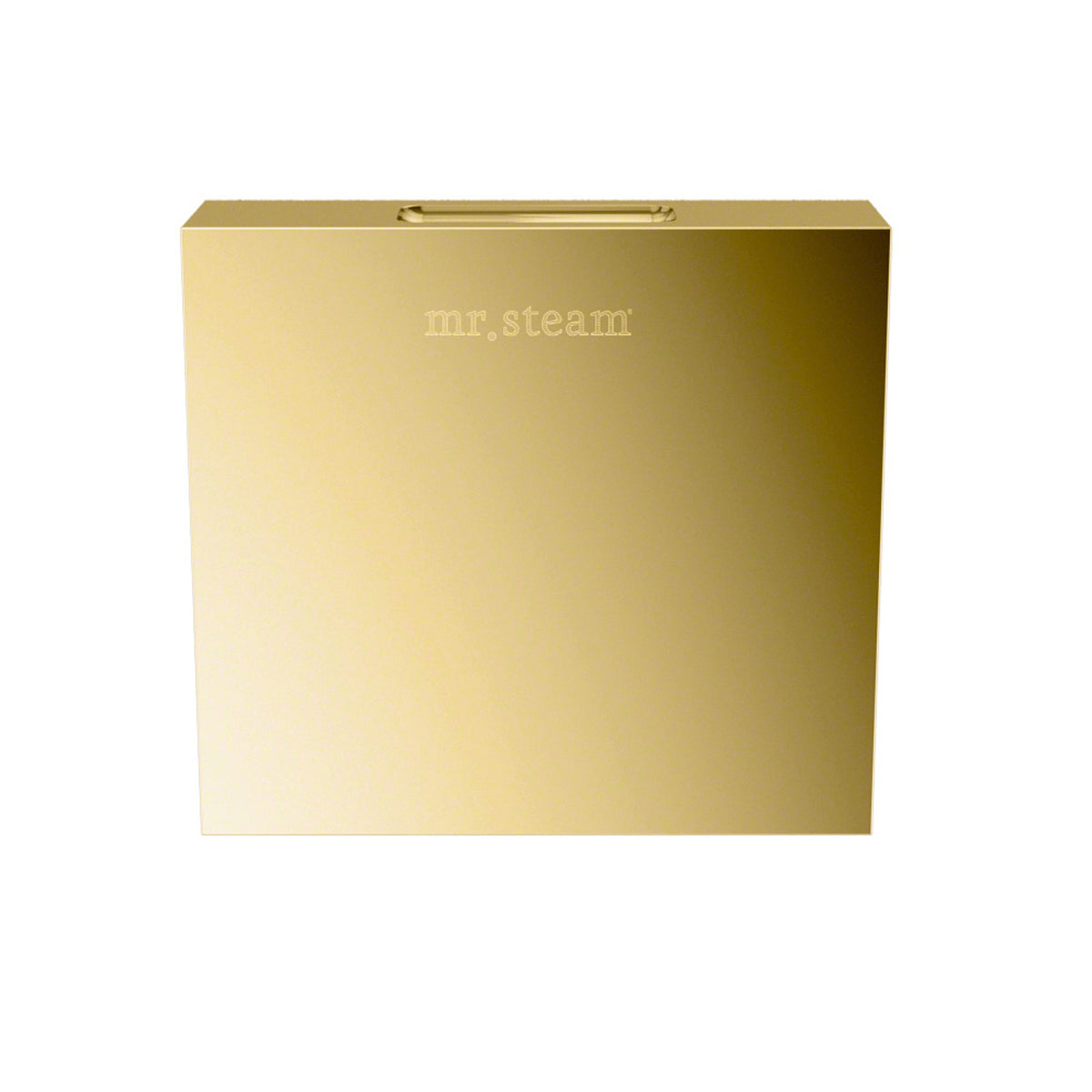 Basic Butler Steam Shower Control Package with iTempo Control and Aroma Designer SteamHead in Square