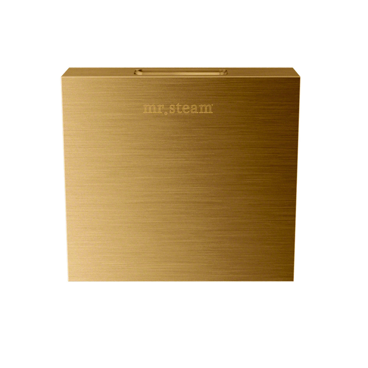 Butler Max Steam Shower Control Package with iTempoPlus Control and Aroma Designer SteamHead in Square