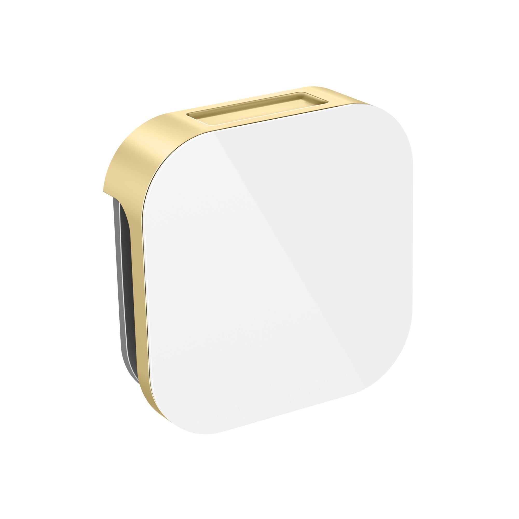 Bliss Programmable Steam Generator Control Kit with iSteamX Control and Aroma Glass Steamhead