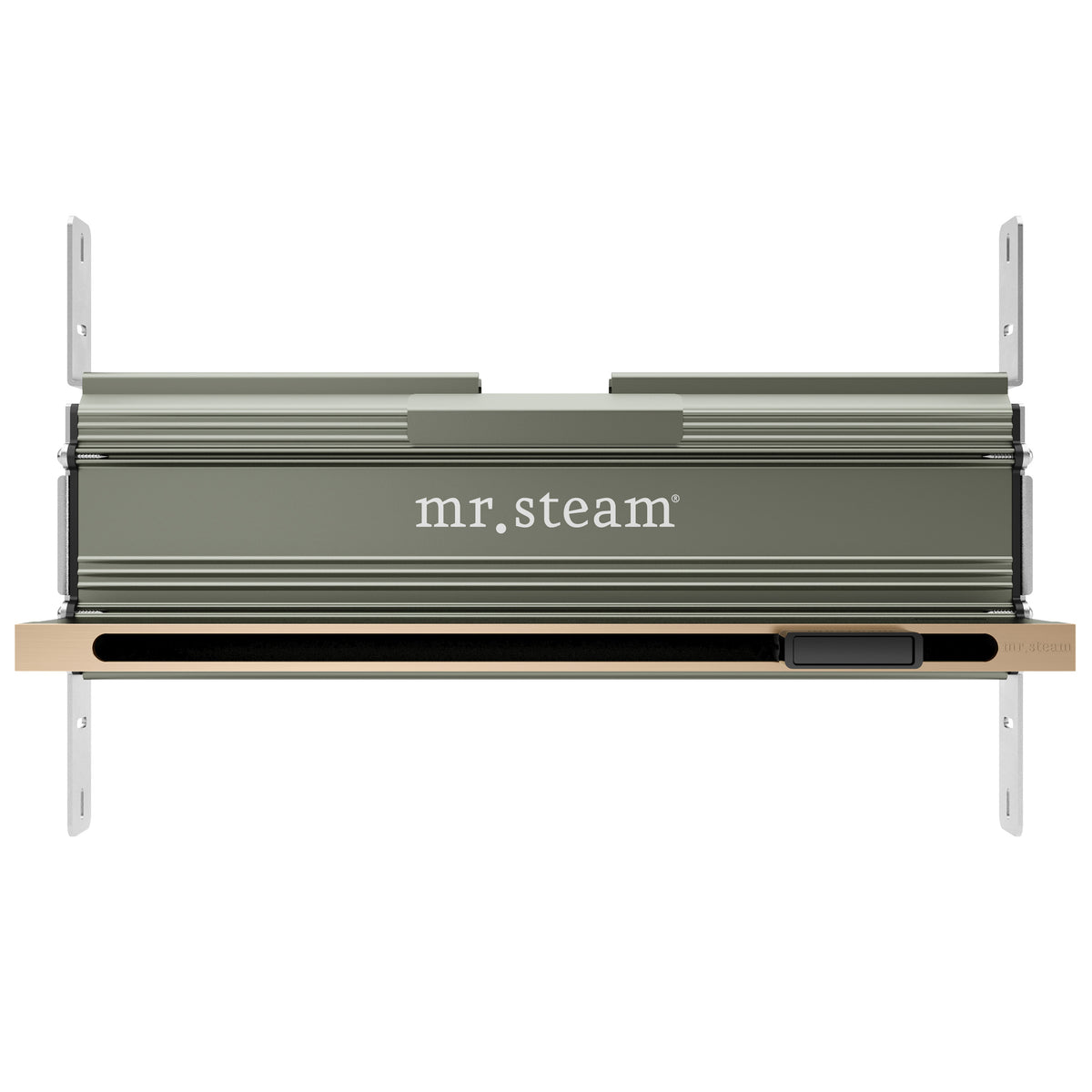 AirButler Linear Steam Shower Control Package with AirTempo Control and Linear SteamHead