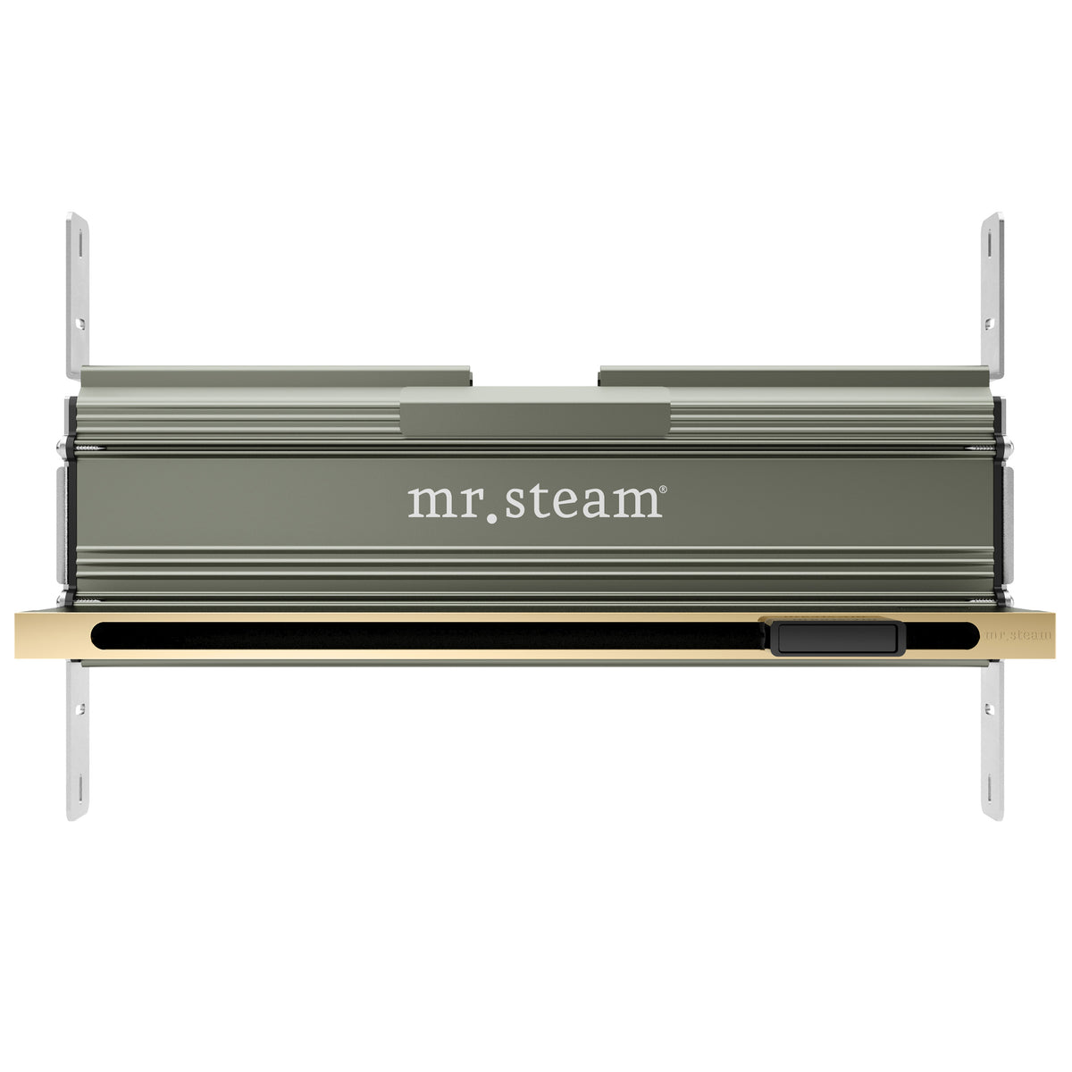 Bliss Max Linear Programmable Steam Generator Control Kit with iSteamX Control and Linear Steamhead