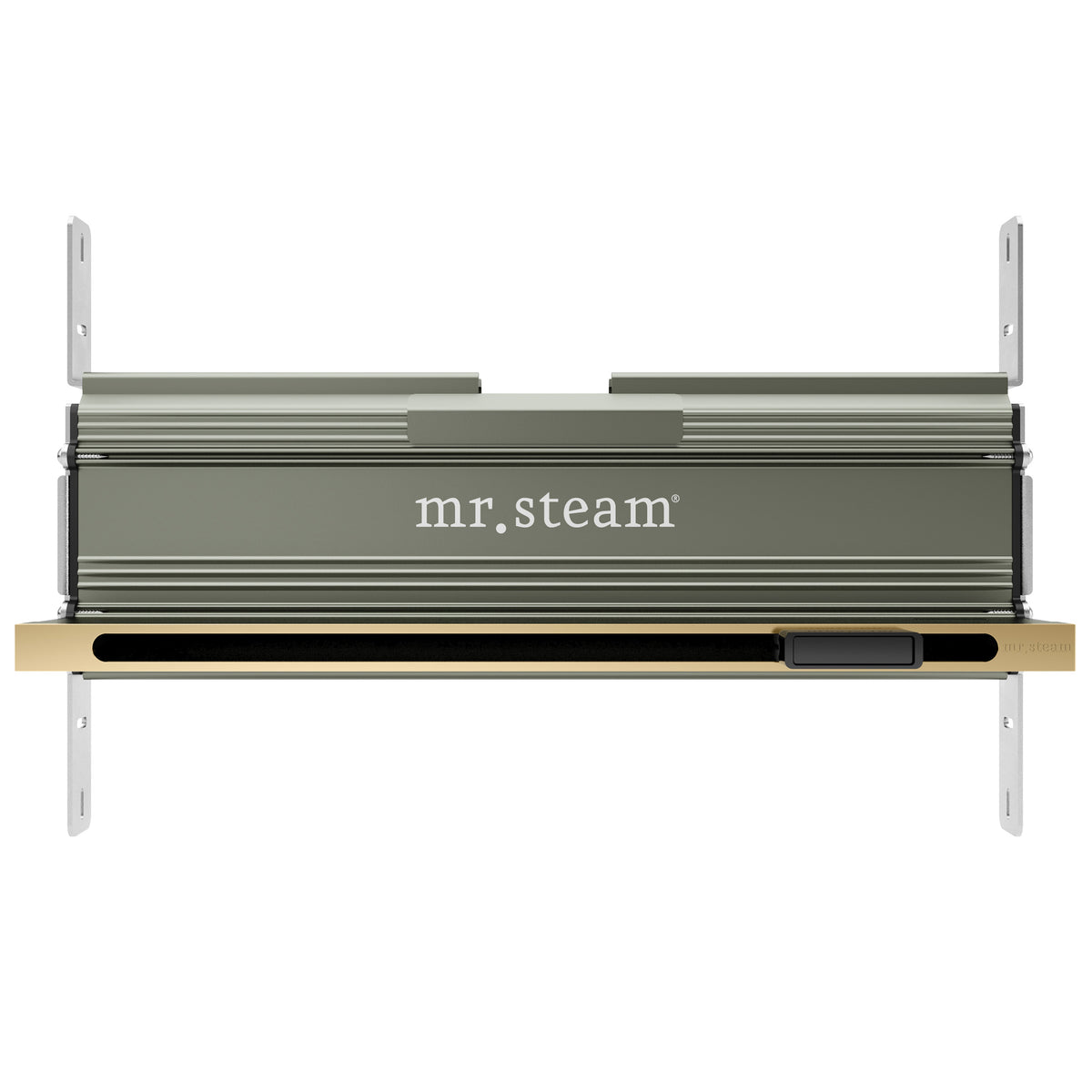 AirButler Linear Steam Shower Control Package with AirTempo Control and Linear SteamHead