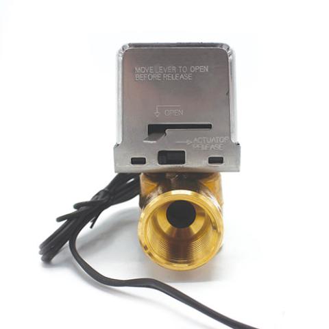 Drain Valve - Motorized 1", 240/480V