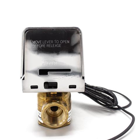 Auto Drain Valve 240V