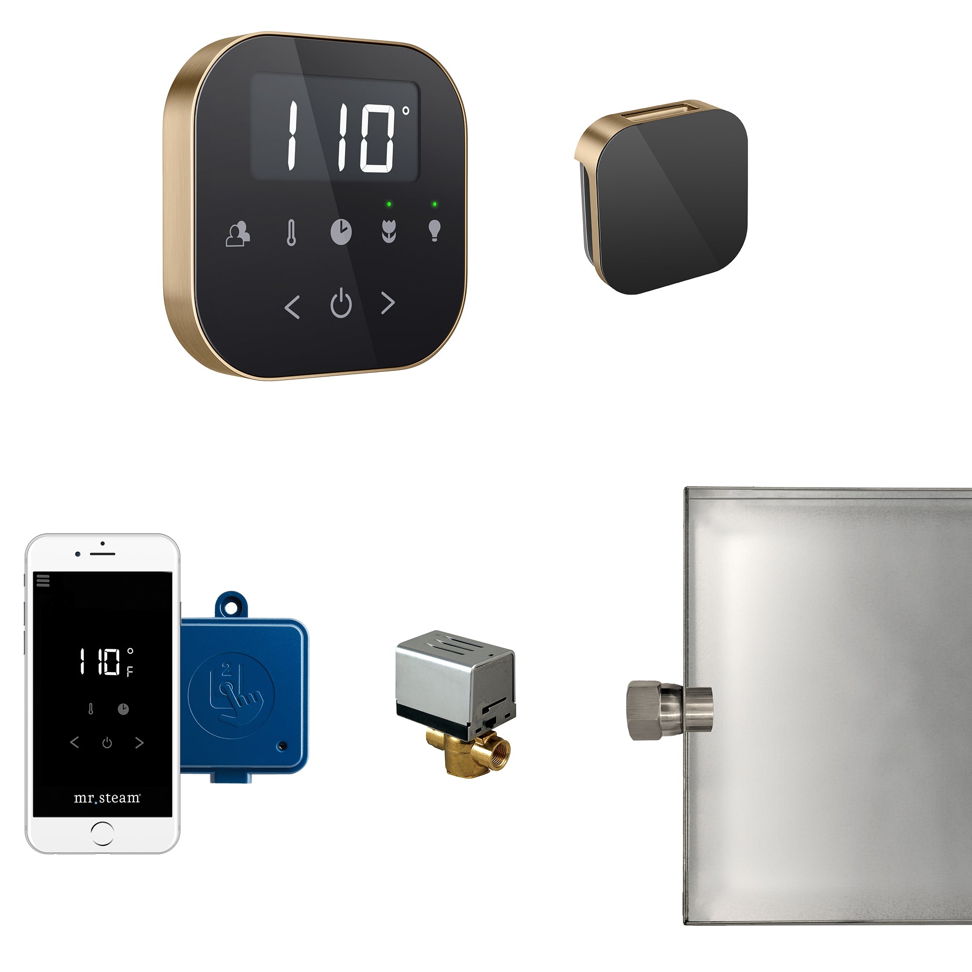 AirButler Steam Shower Control Package with AirTempo Control and Aroma Glass SteamHead