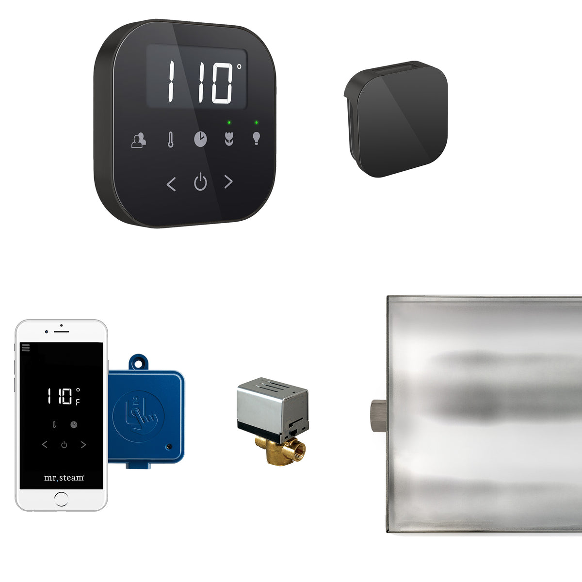 AirButler Steam Shower Control Package with AirTempo Control and Aroma Glass SteamHead
