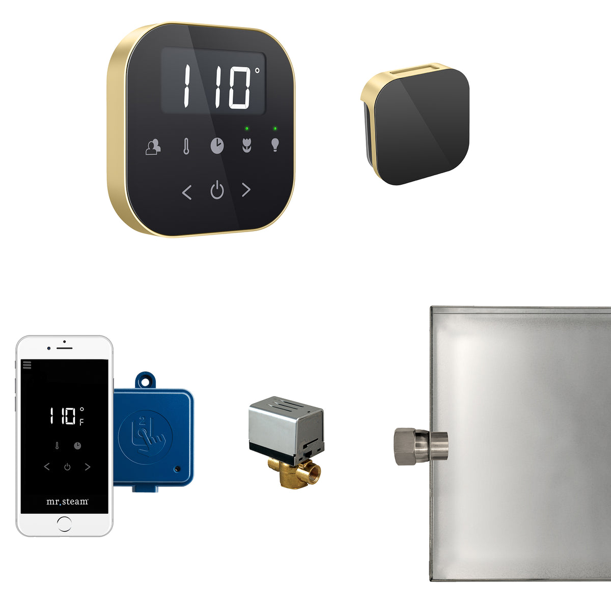 AirButler Steam Shower Control Package with AirTempo Control and Aroma Glass SteamHead