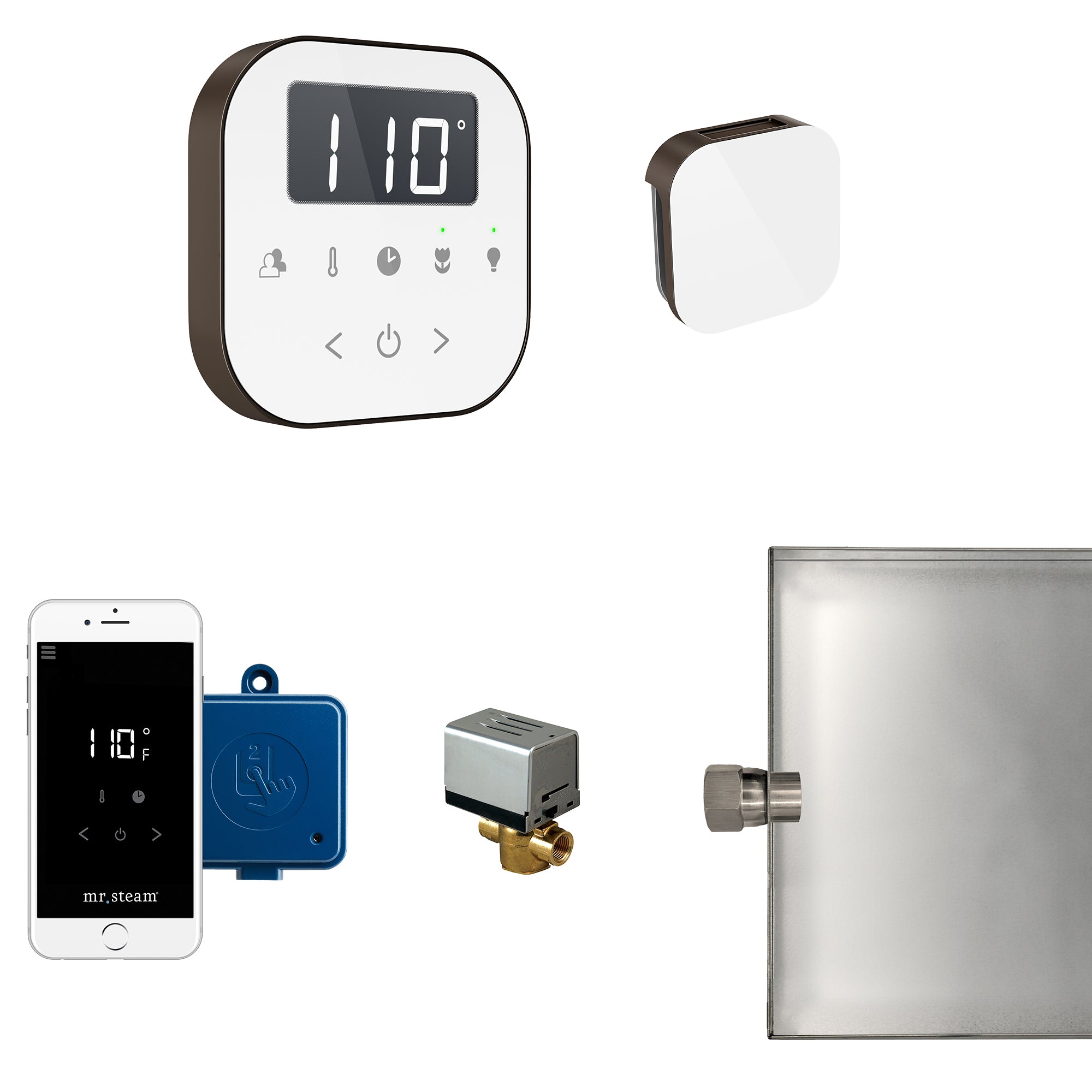 AirButler Steam Shower Control Package with AirTempo Control and Aroma Glass SteamHead