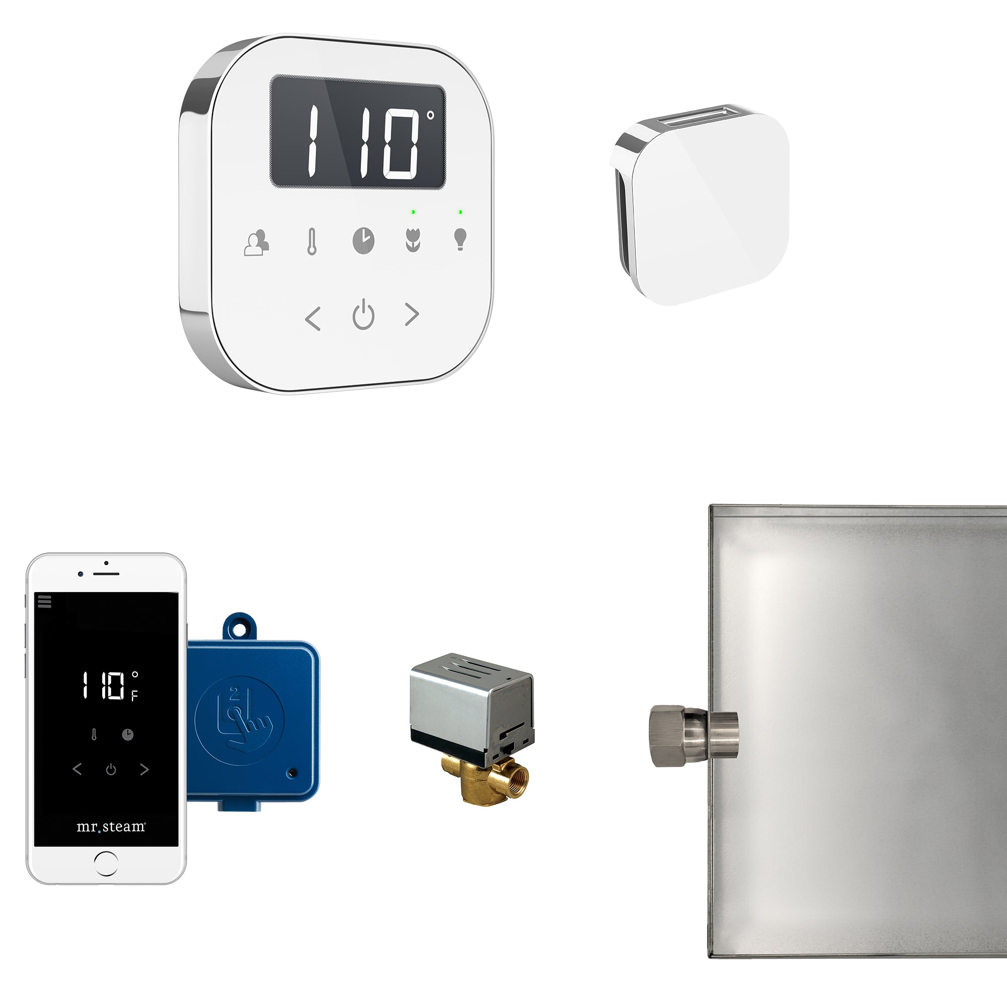 AirButler Steam Shower Control Package with AirTempo Control and Aroma Glass SteamHead