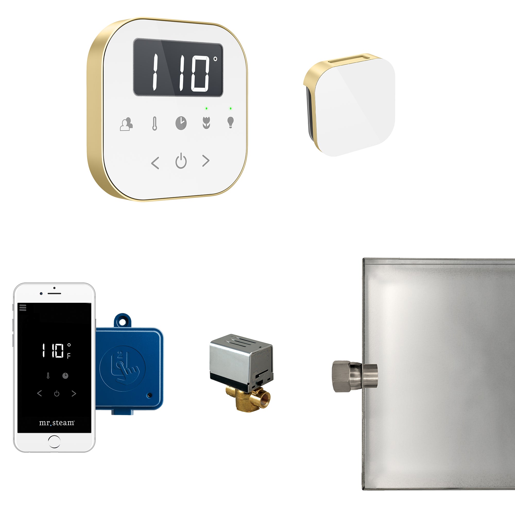 AirButler Steam Shower Control Package with AirTempo Control and Aroma Glass SteamHead