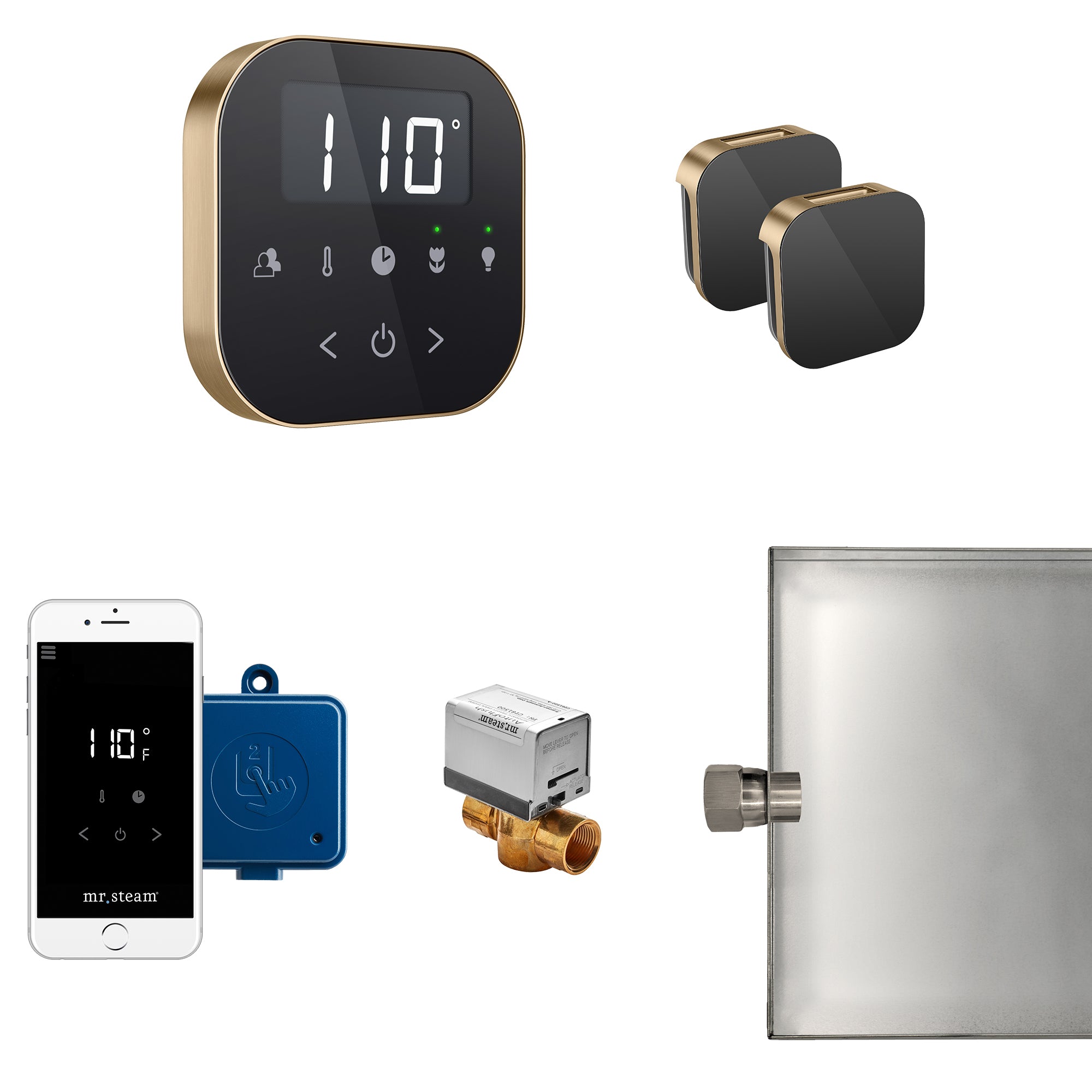AirButler Max Steam Shower Control Package with AirTempo Control and Aroma Glass SteamHead