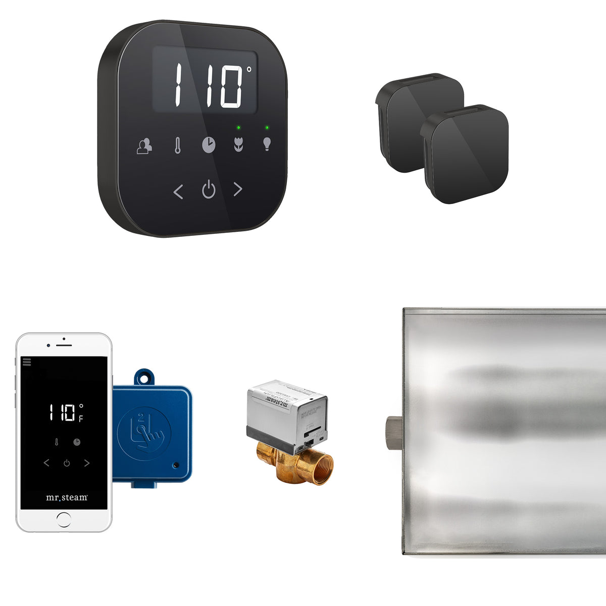 AirButler Max Steam Shower Control Package with AirTempo Control and Aroma Glass SteamHead
