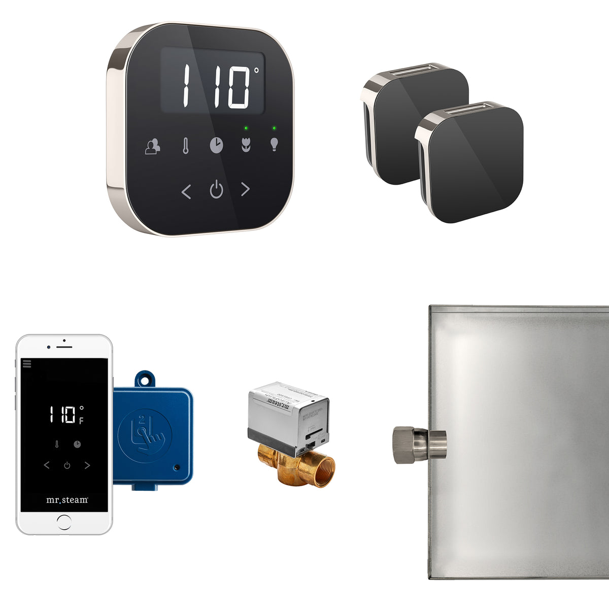 AirButler Max Steam Shower Control Package with AirTempo Control and Aroma Glass SteamHead