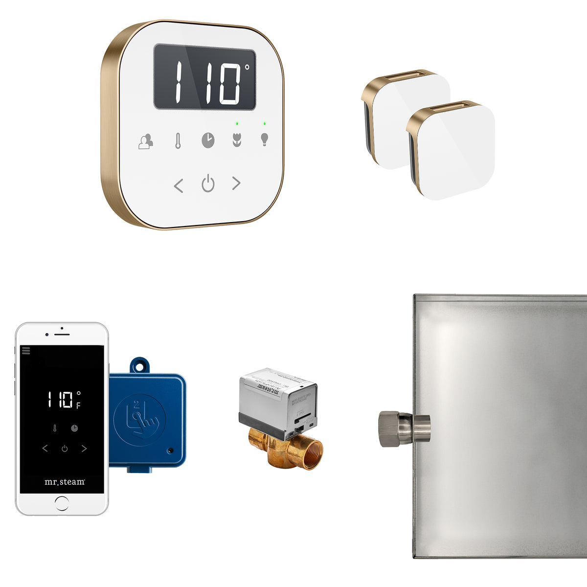 AirButler Max Steam Shower Control Package with AirTempo Control and Aroma Glass SteamHead
