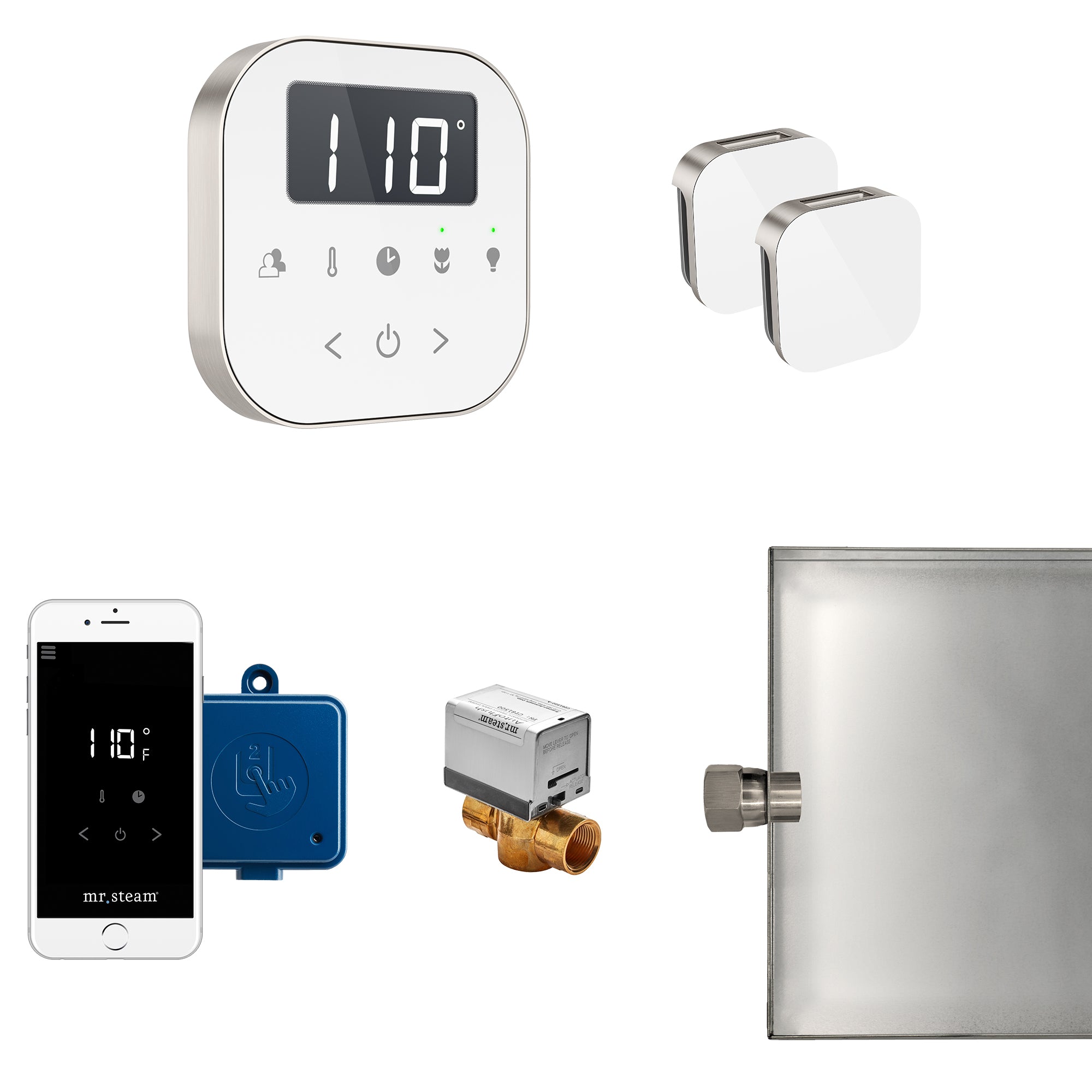 AirButler Max Steam Shower Control Package with AirTempo Control and Aroma Glass SteamHead