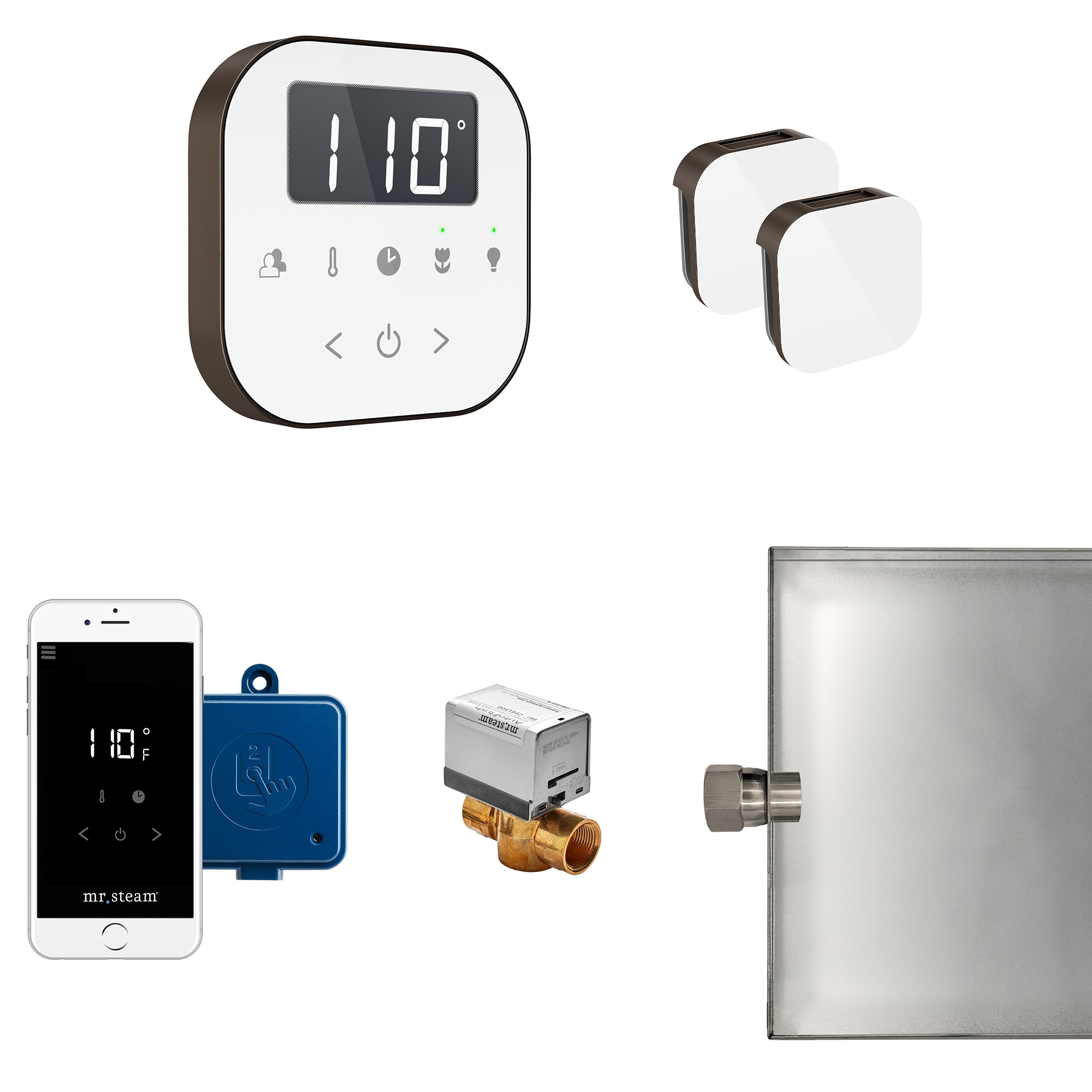 AirButler Max Steam Shower Control Package with AirTempo Control and Aroma Glass SteamHead