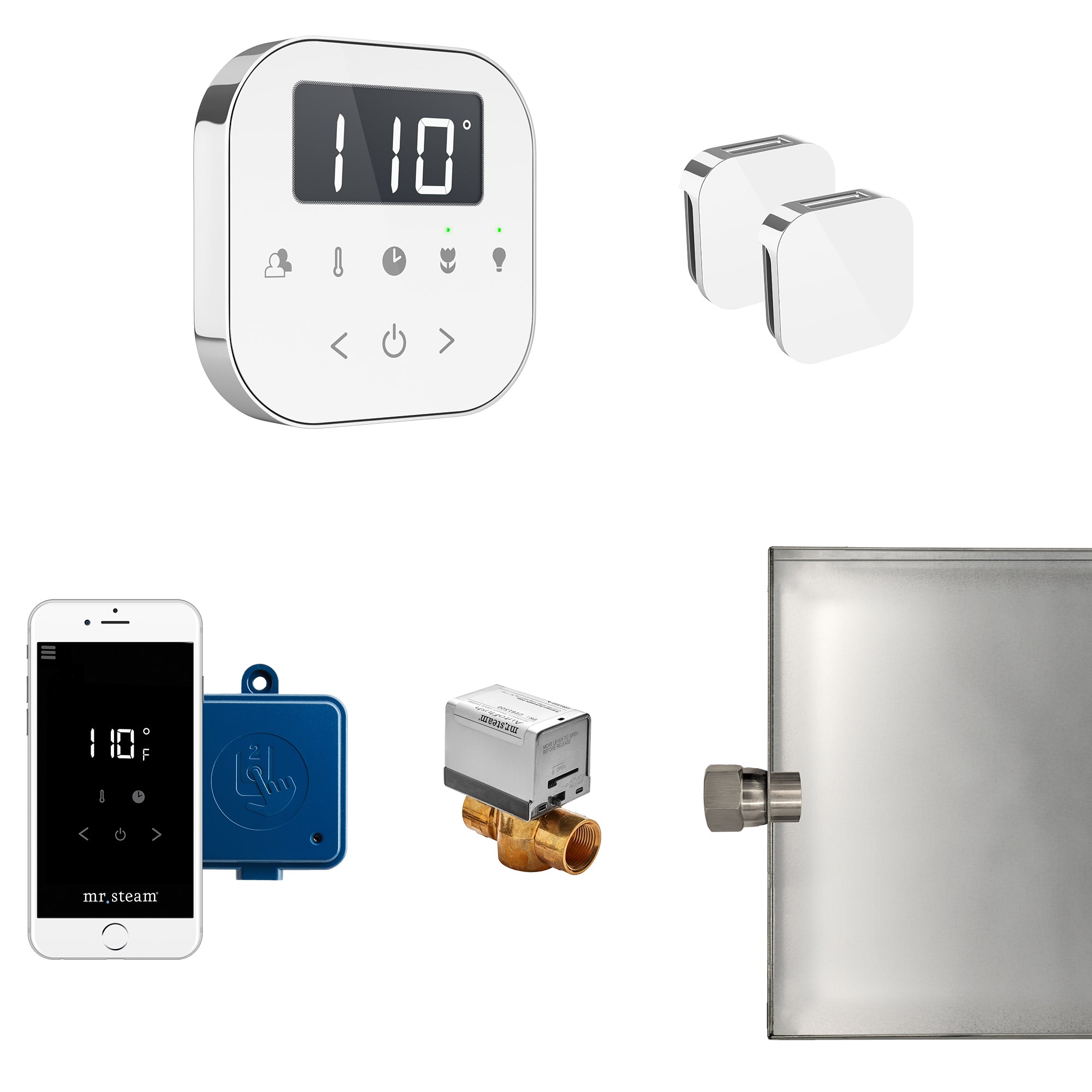 AirButler Max Steam Shower Control Package with AirTempo Control and Aroma Glass SteamHead