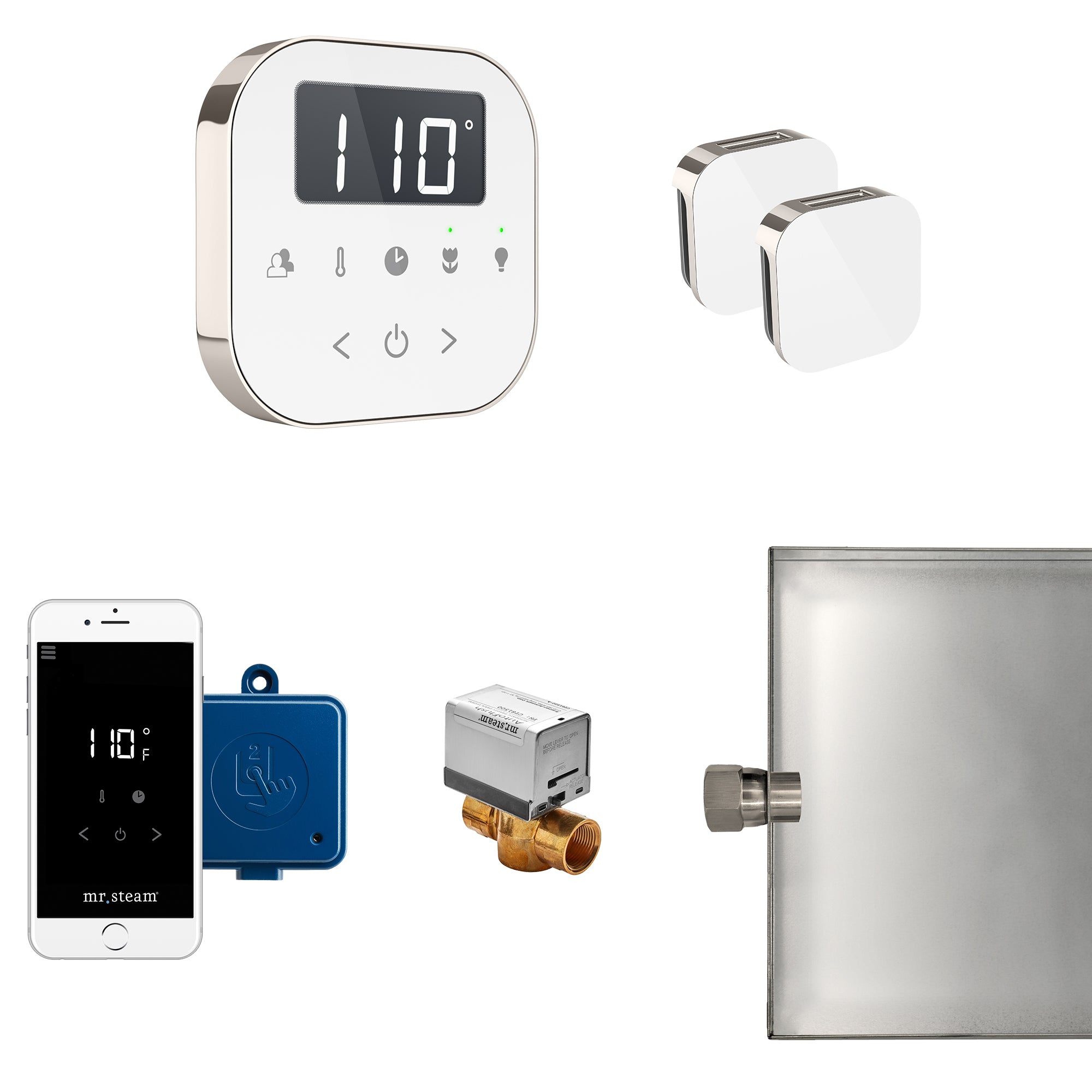 AirButler Max Steam Shower Control Package with AirTempo Control and Aroma Glass SteamHead