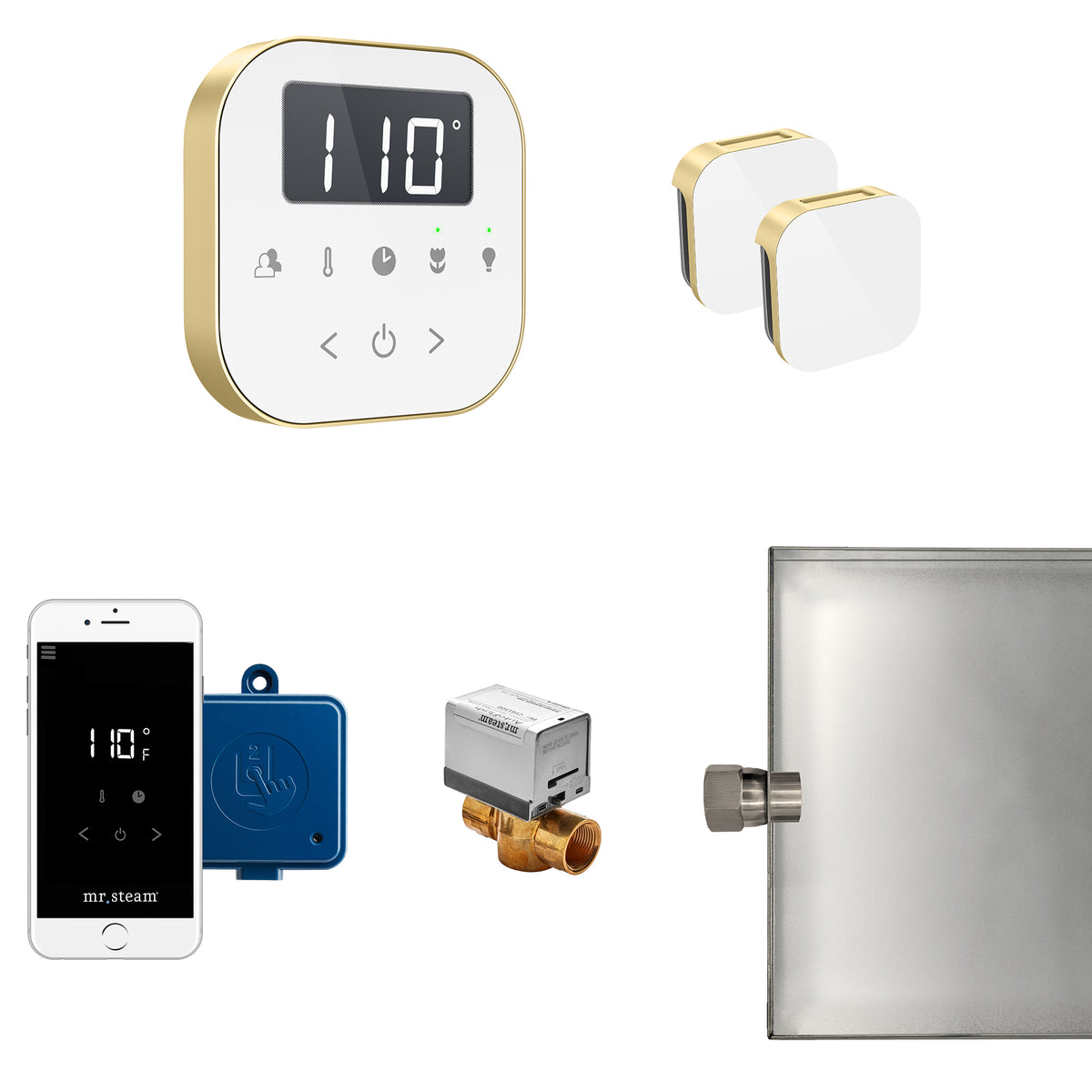 AirButler Max Steam Shower Control Package with AirTempo Control and Aroma Glass SteamHead