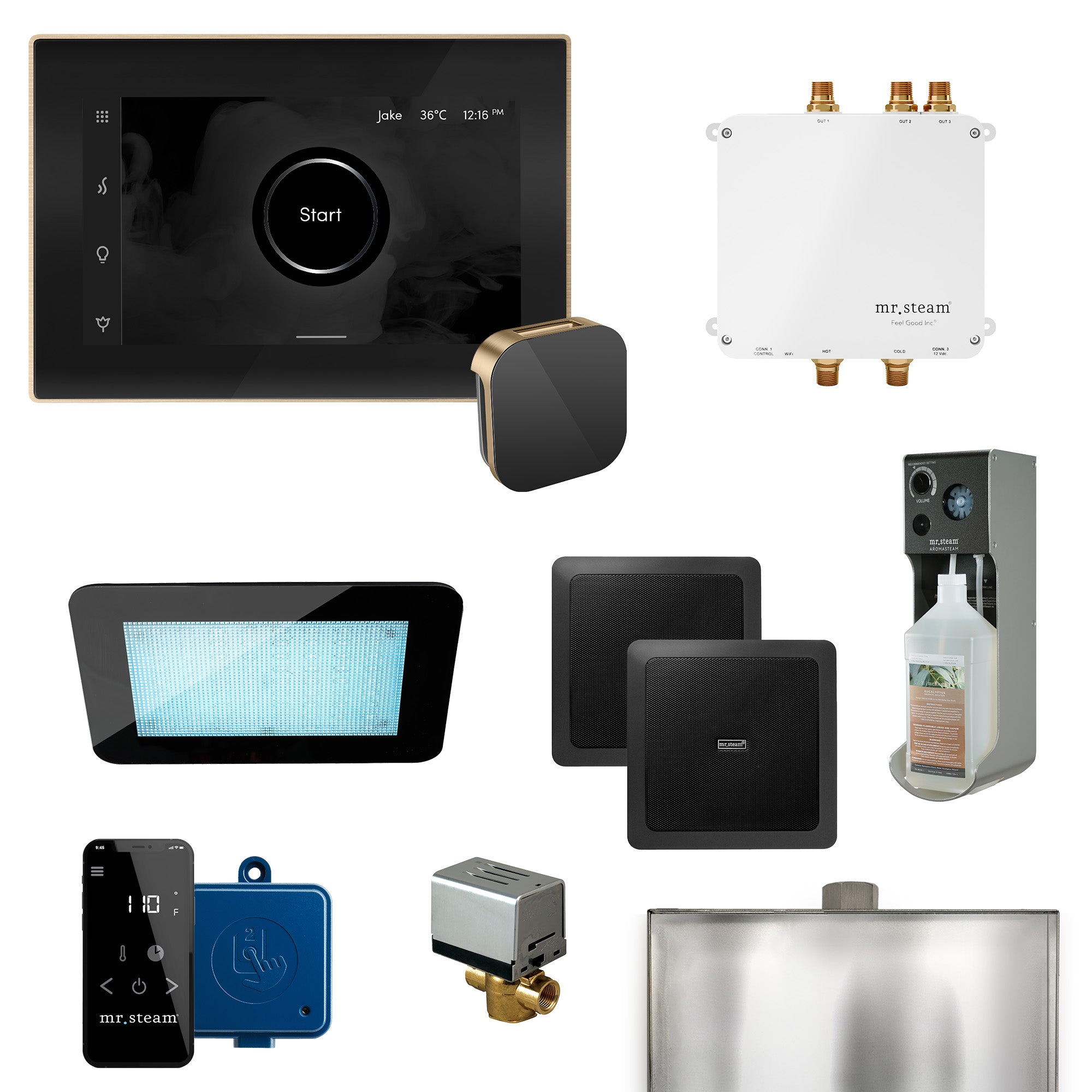 Bliss Programmable Steam Generator Control Kit with iSteamX Control and Aroma Glass Steamhead
