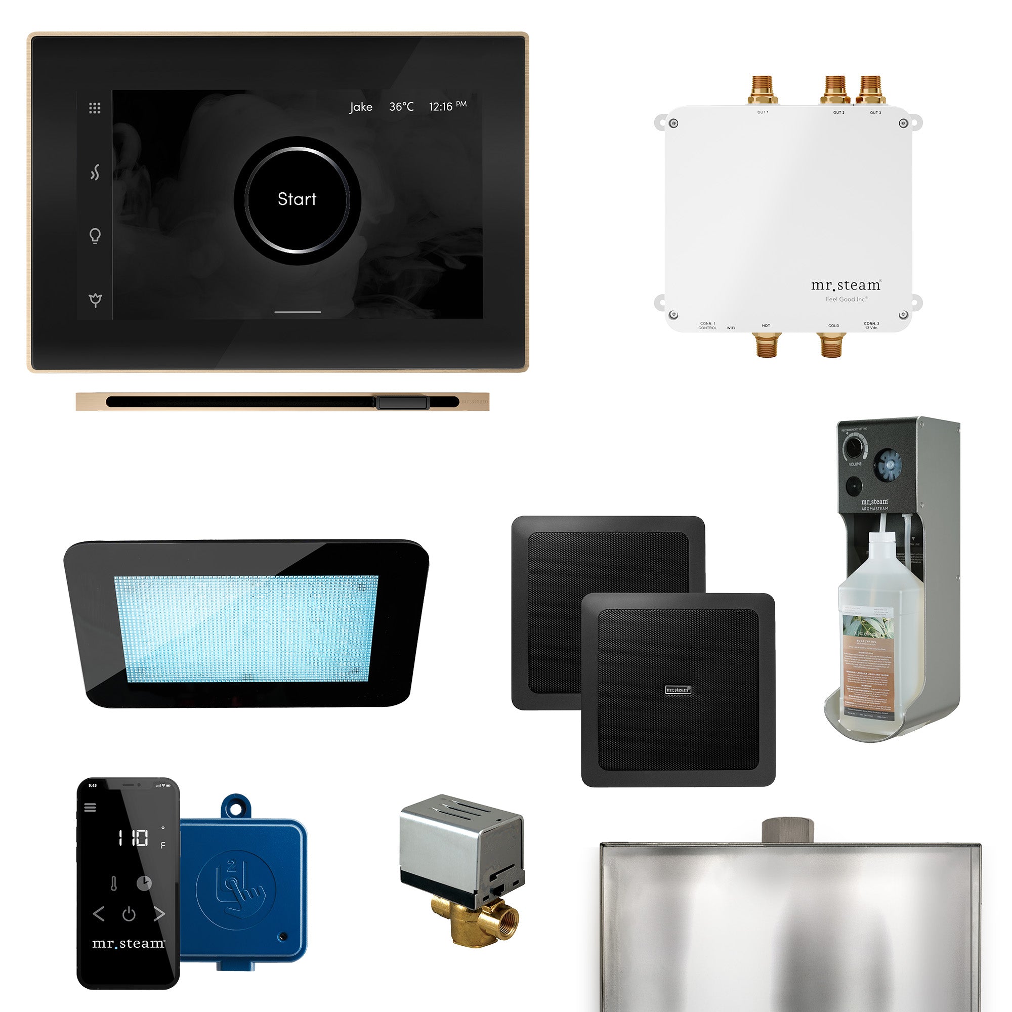 Bliss Linear Programmable Steam Generator Control Kit with iSteamX Control and Linear Steamhead