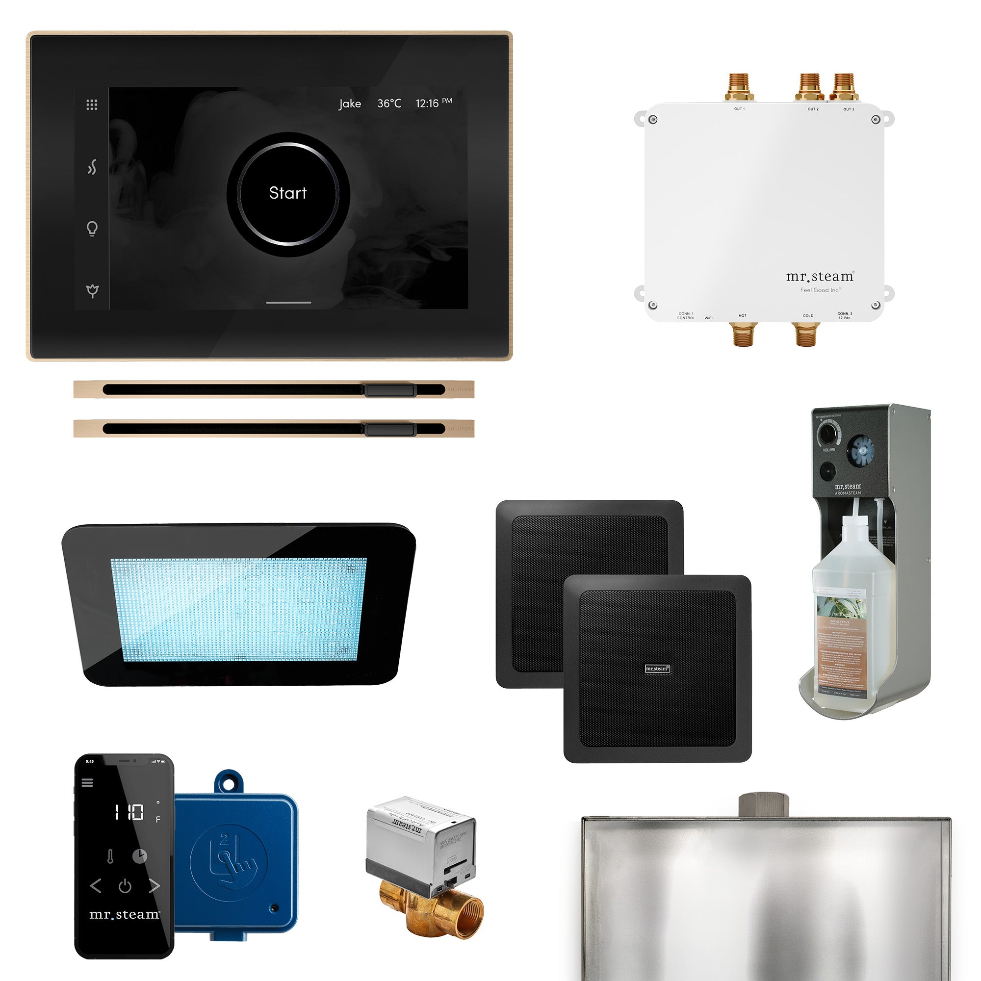 Bliss Max Linear Programmable Steam Generator Control Kit with iSteamX Control and Linear Steamhead