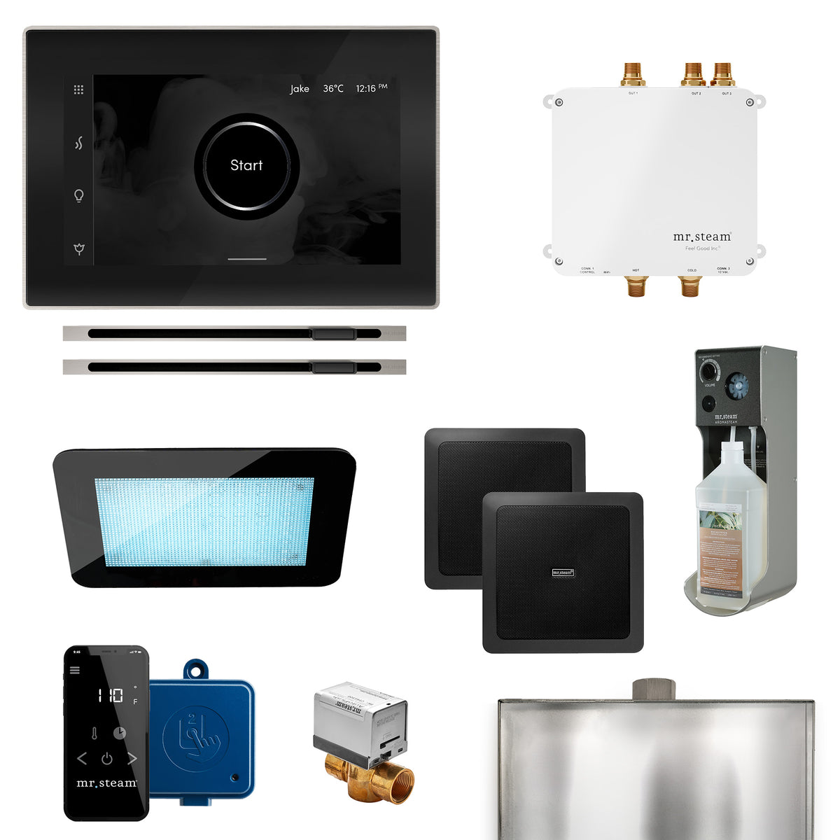 Bliss Max Linear Programmable Steam Generator Control Kit with iSteamX Control and Linear Steamhead