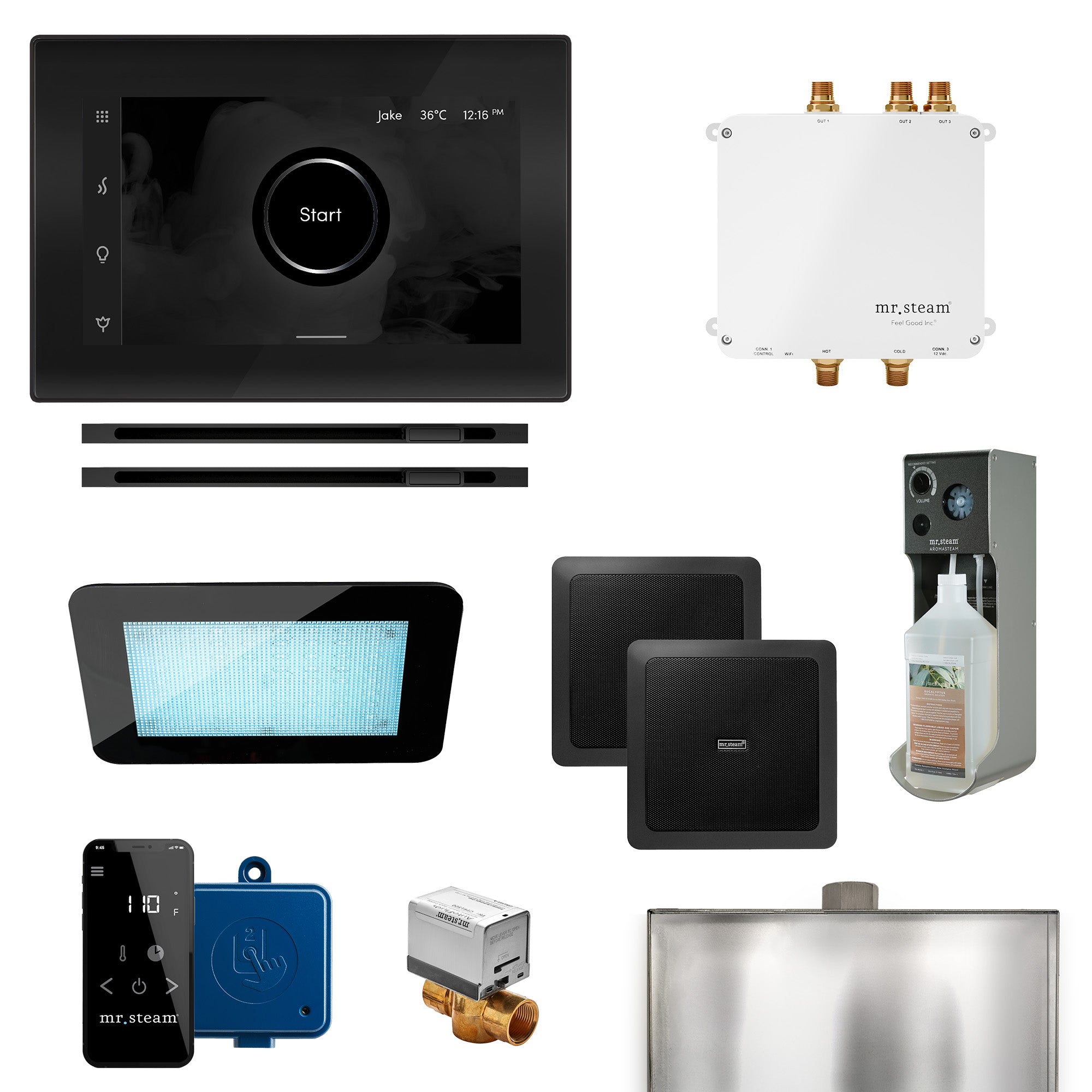 Bliss Max Linear Programmable Steam Generator Control Kit with iSteamX Control and Linear Steamhead