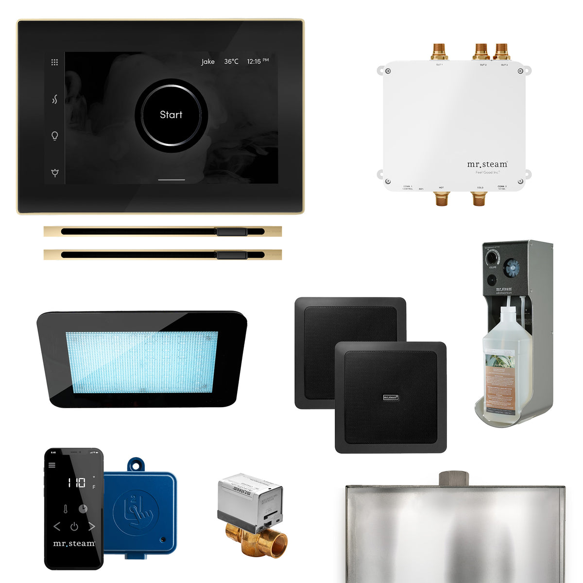 Bliss Max Linear Programmable Steam Generator Control Kit with iSteamX Control and Linear Steamhead