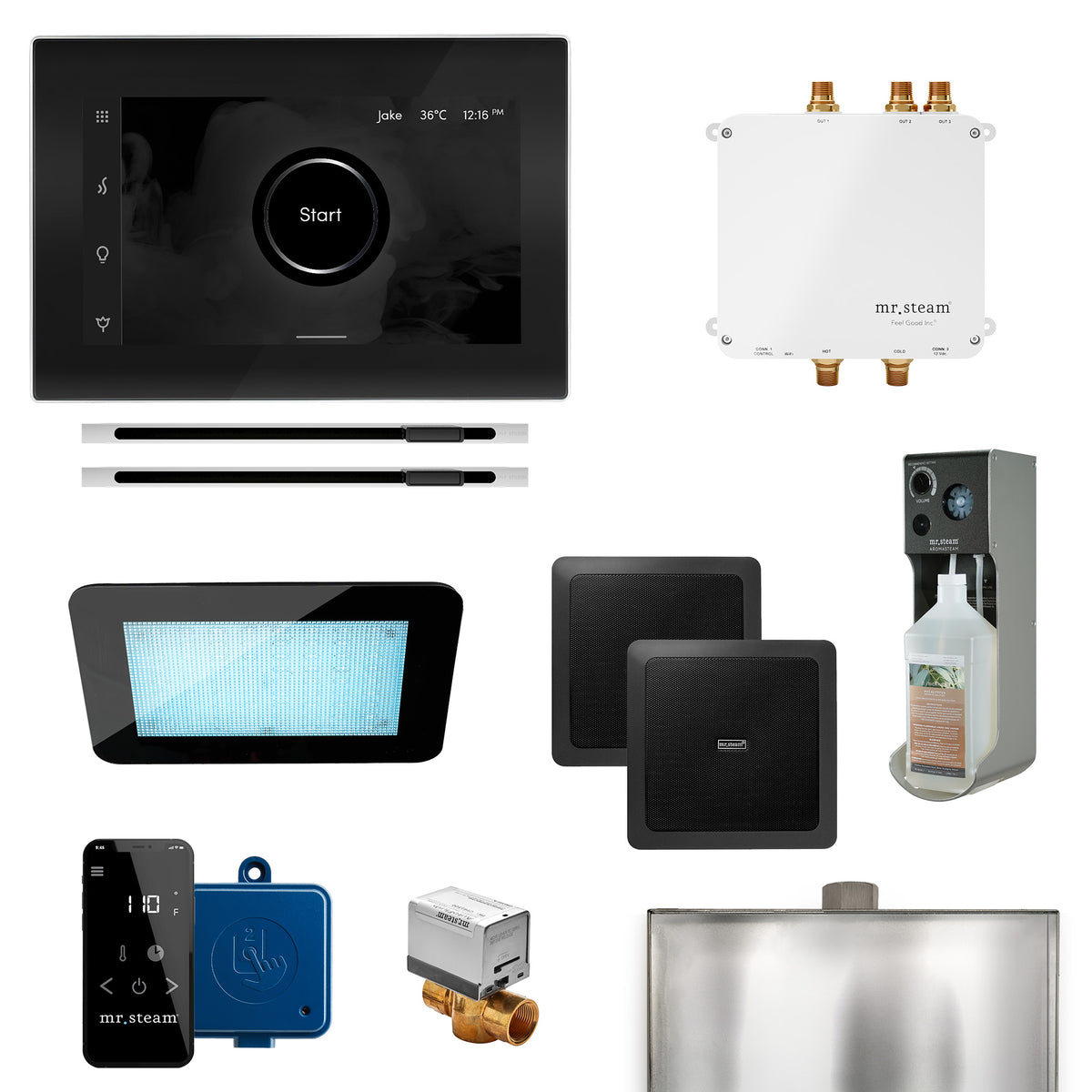 Bliss Max Linear Programmable Steam Generator Control Kit with iSteamX Control and Linear Steamhead