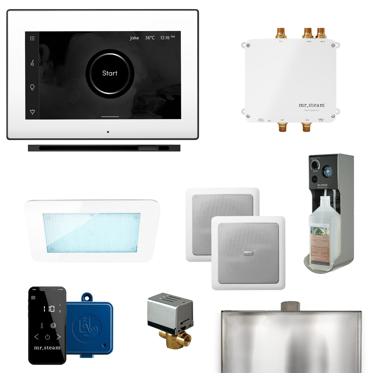 Bliss Linear Programmable Steam Generator Control Kit with iSteamX Control and Linear Steamhead
