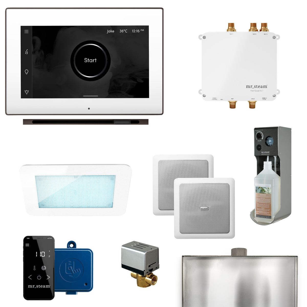 Bliss Linear Programmable Steam Generator Control Kit with iSteamX Control and Linear Steamhead