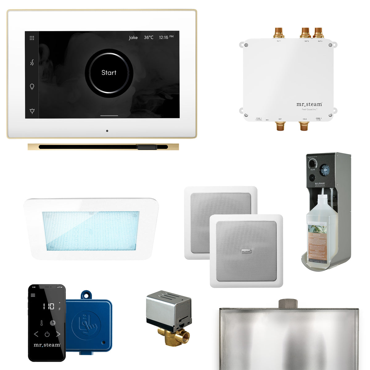 Bliss Linear Programmable Steam Generator Control Kit with iSteamX Control and Linear Steamhead