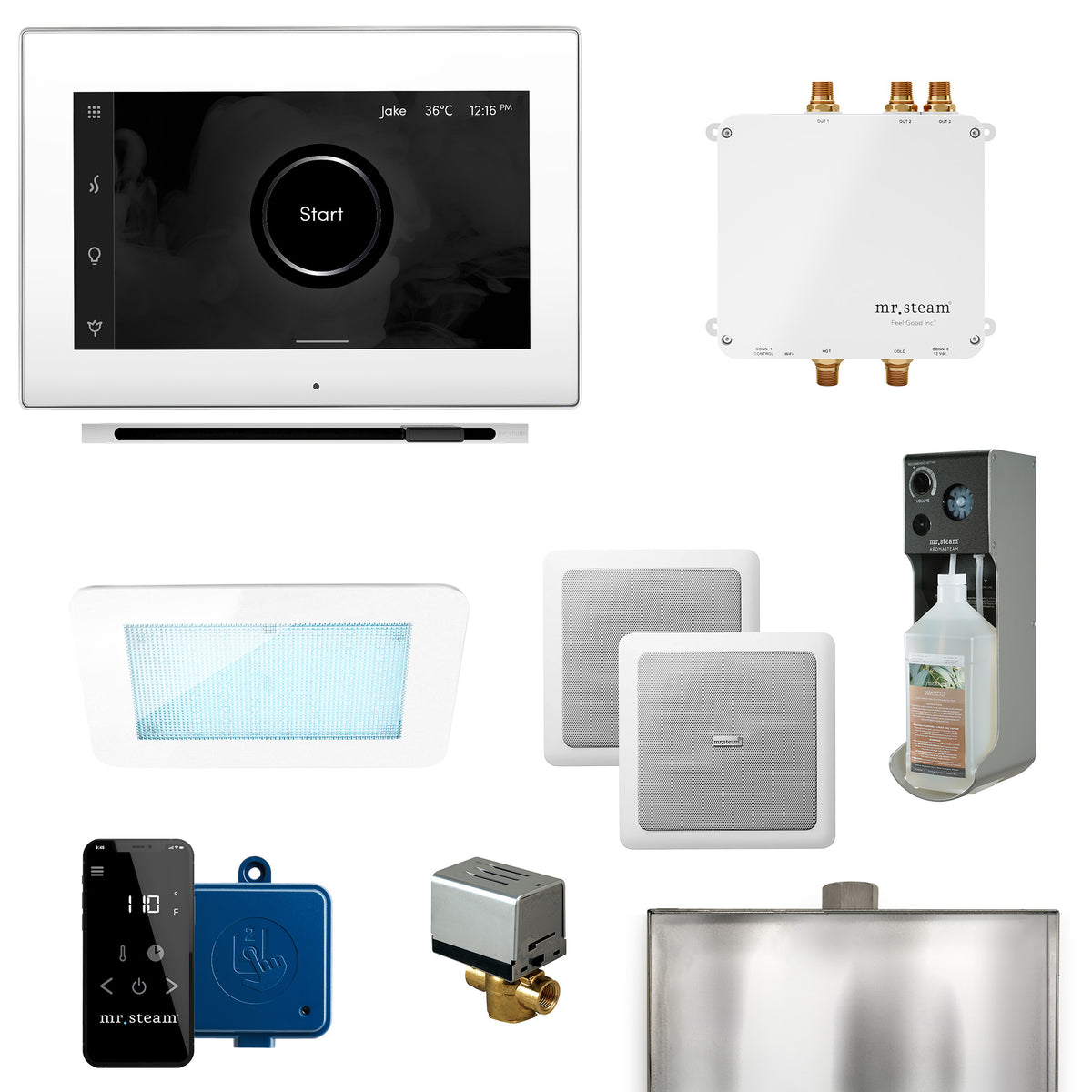 Bliss Linear Programmable Steam Generator Control Kit with iSteamX Control and Linear Steamhead