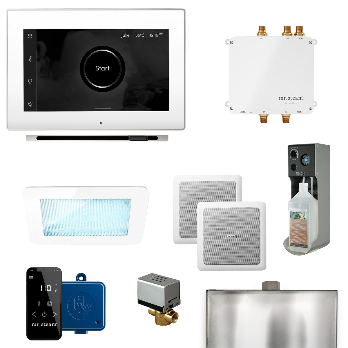 Bliss Linear Programmable Steam Generator Control Kit with iSteamX Control and Linear Steamhead