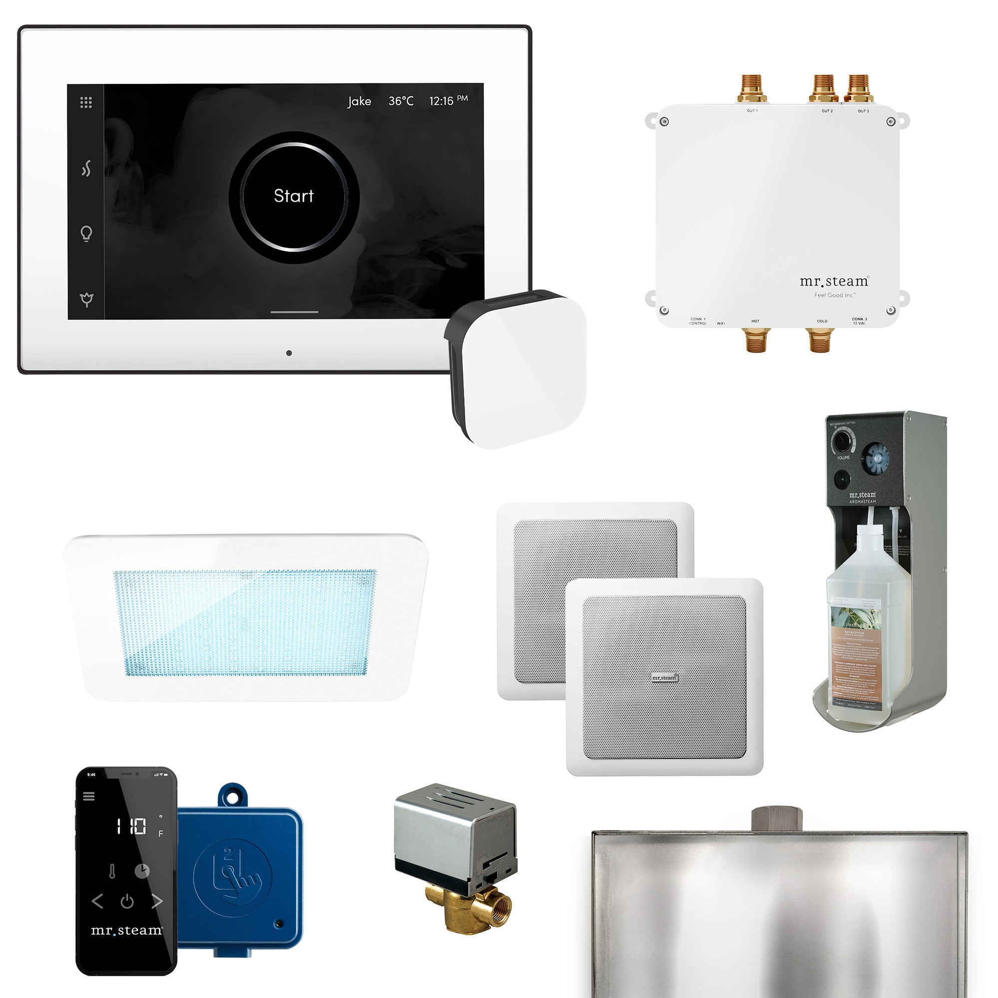 Bliss Programmable Steam Generator Control Kit with iSteamX Control and Aroma Glass Steamhead