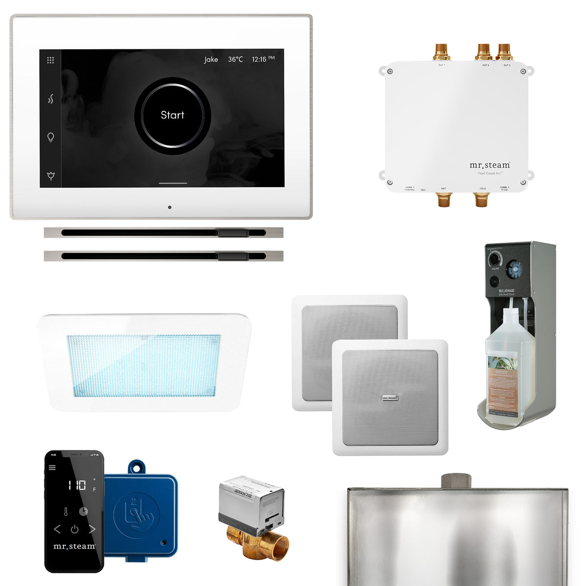 Bliss Max Linear Programmable Steam Generator Control Kit with iSteamX Control and Linear Steamhead