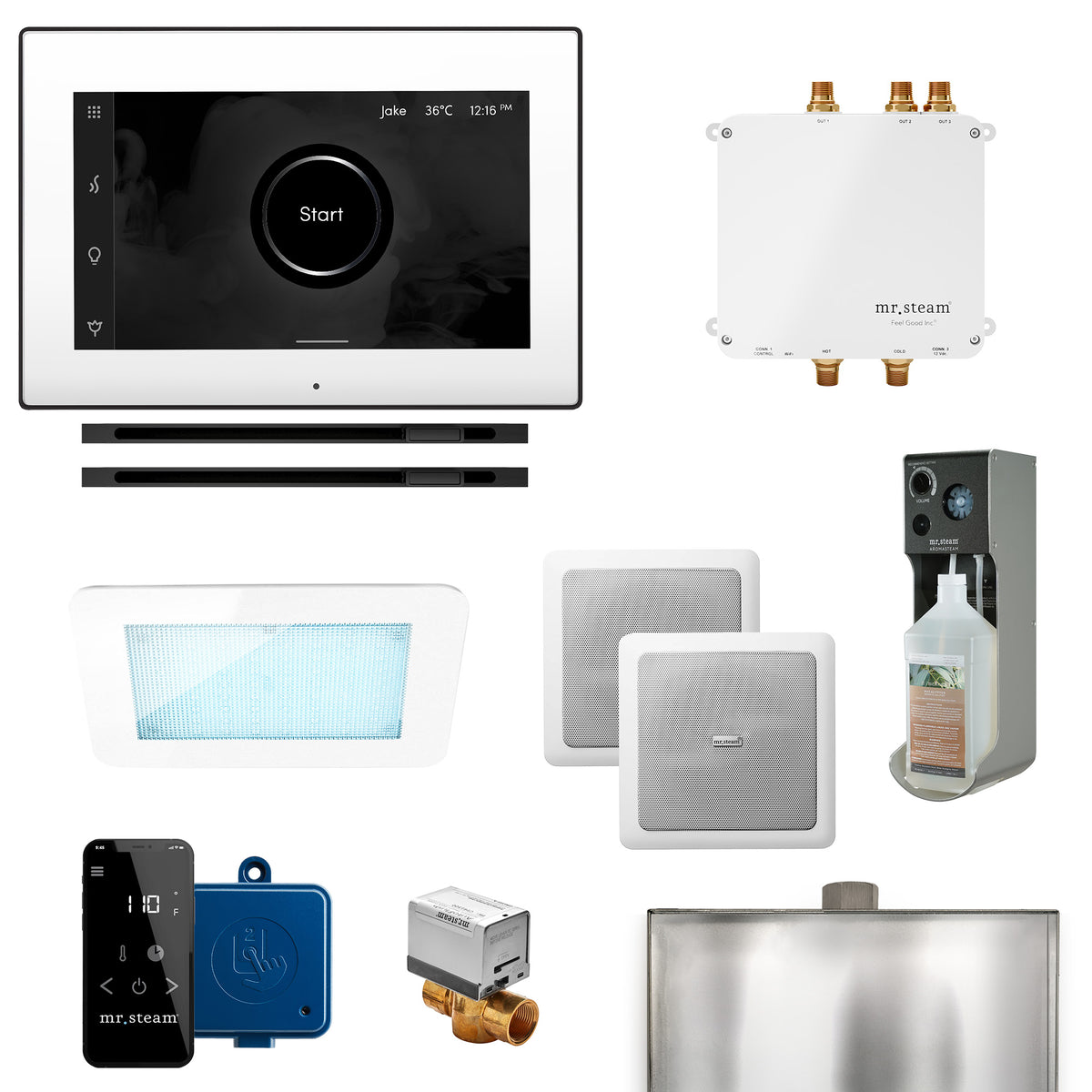 Bliss Max Linear Programmable Steam Generator Control Kit with iSteamX Control and Linear Steamhead