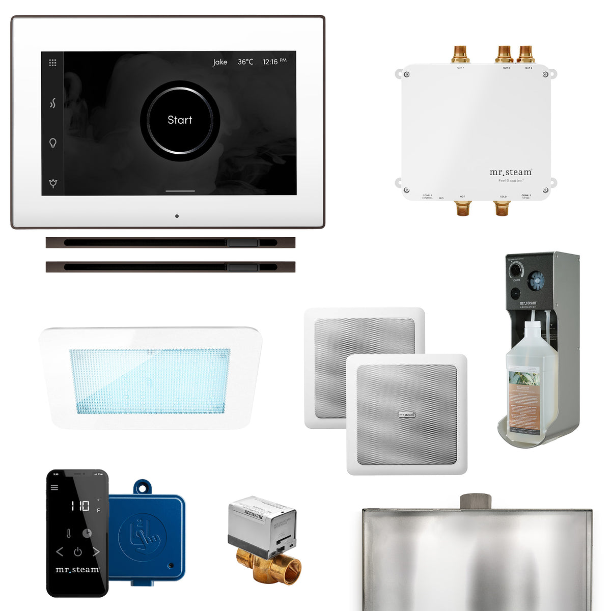 Bliss Max Linear Programmable Steam Generator Control Kit with iSteamX Control and Linear Steamhead