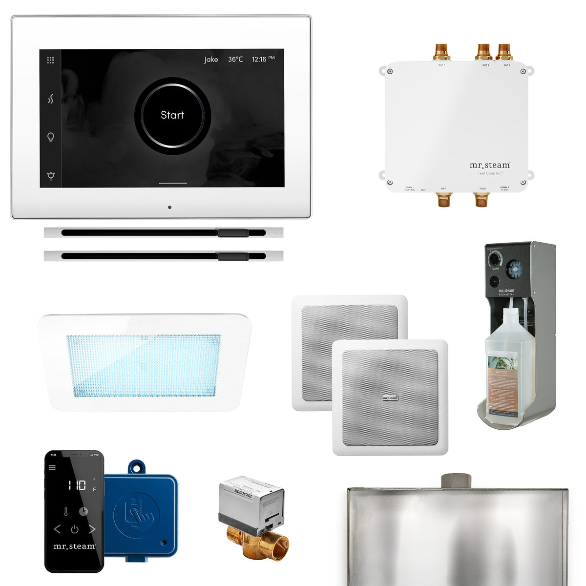 Bliss Max Linear Programmable Steam Generator Control Kit with iSteamX Control and Linear Steamhead