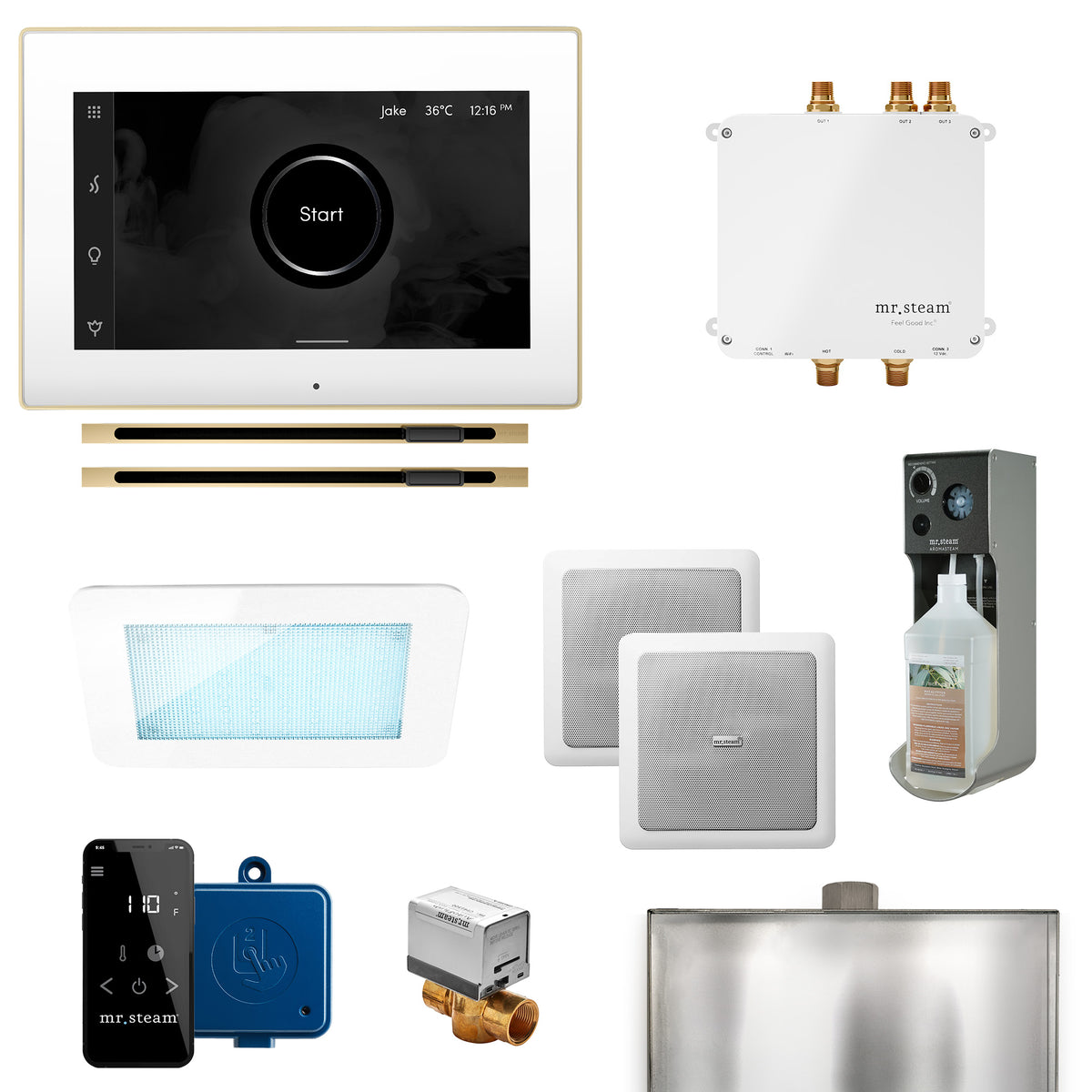 Bliss Max Linear Programmable Steam Generator Control Kit with iSteamX Control and Linear Steamhead