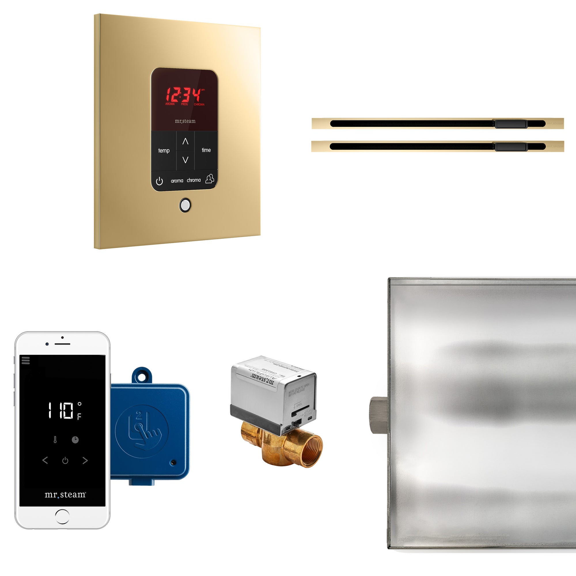 Butler Max Linear Steam Shower Control Package with iTempoPlus Control and Linear SteamHead in Square