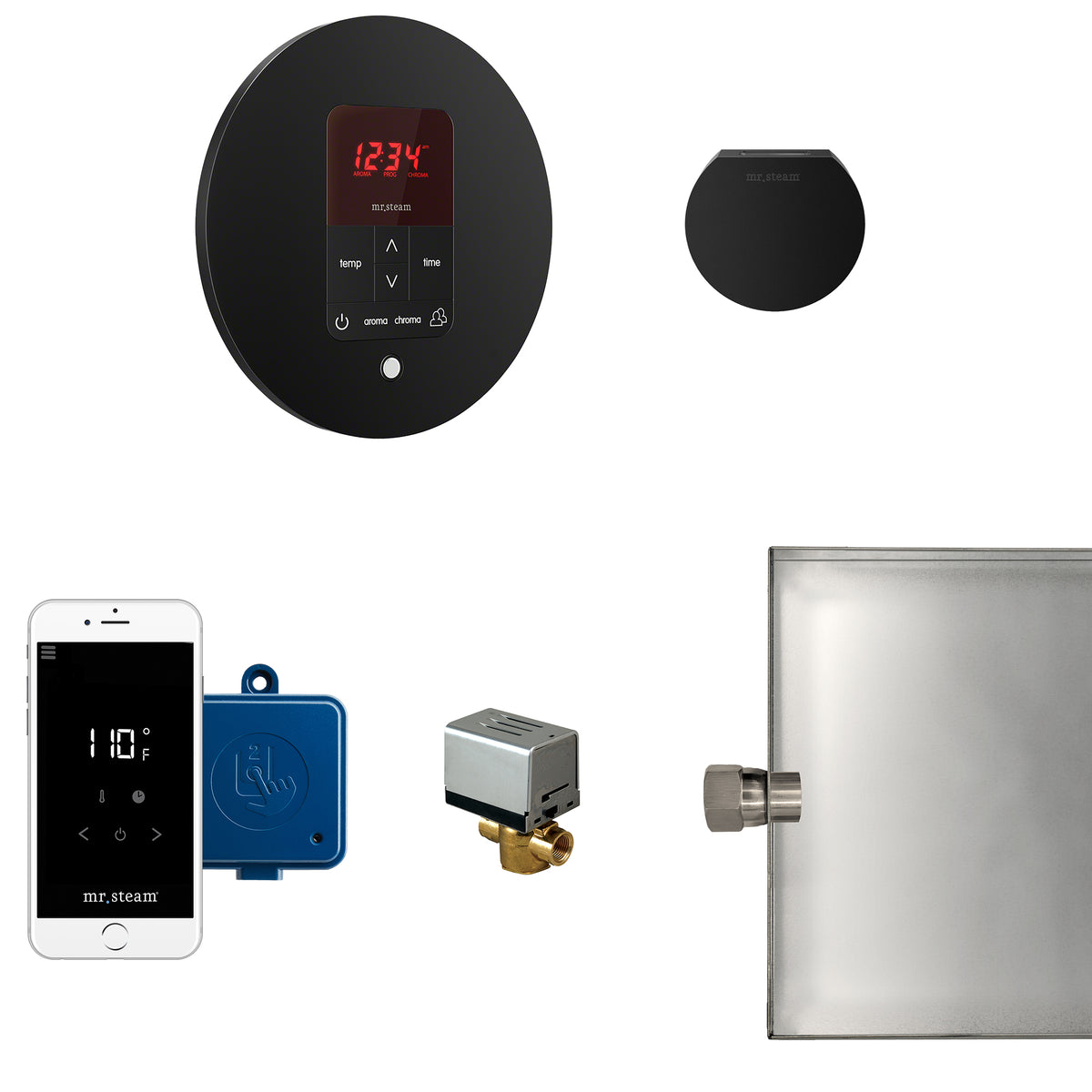 Butler Steam Shower Control Package with iTempoPlus Control and Aroma Designer SteamHead in Round