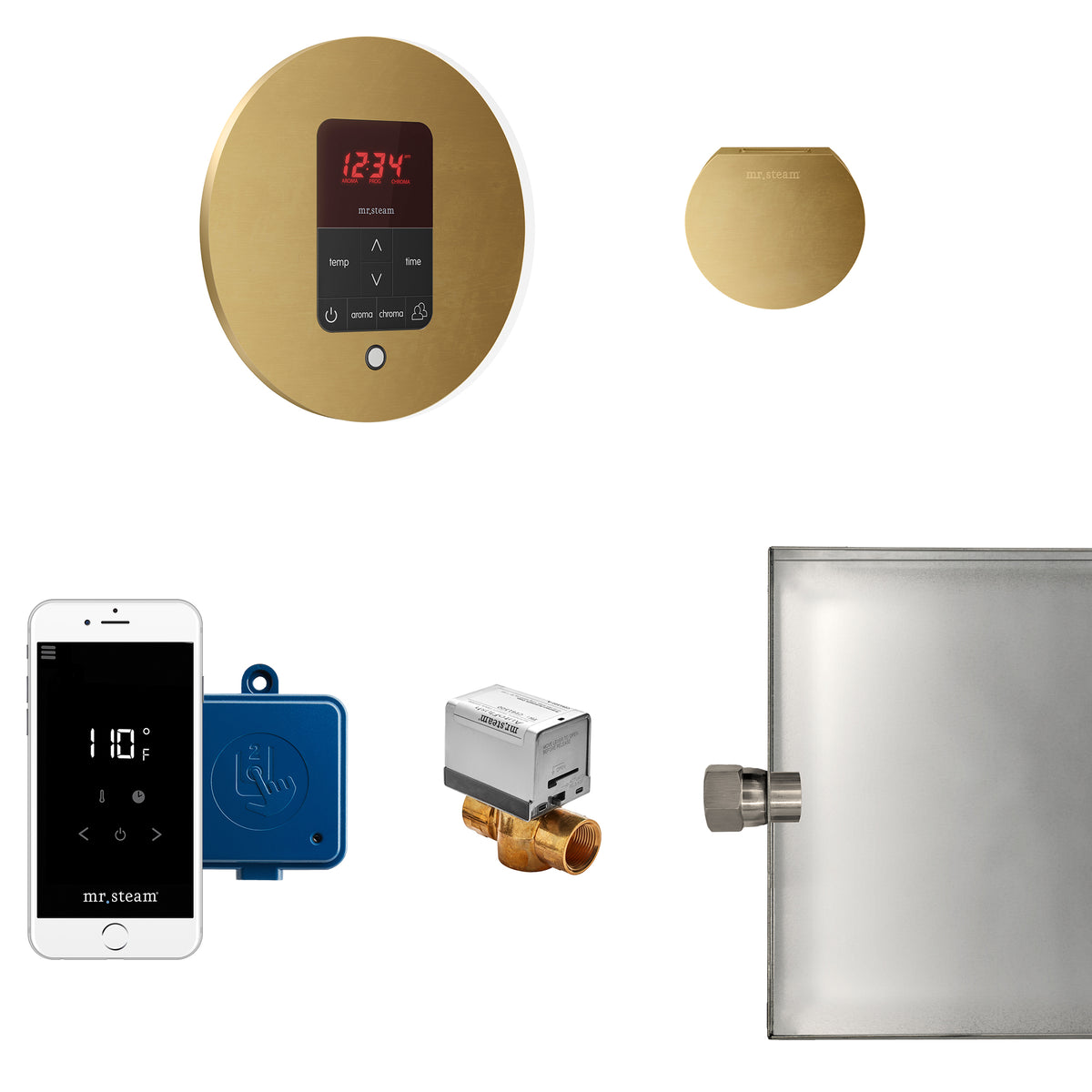 Butler Steam Shower Control Package with iTempoPlus Control and Aroma Designer SteamHead in Round