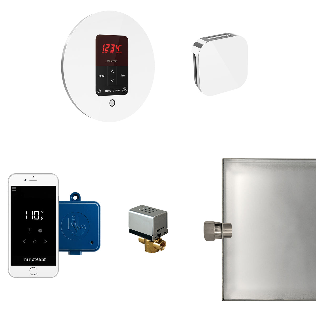 Butler Steam Shower Control Package with iTempoPlus Control and Aroma Designer SteamHead in Round